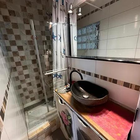 Apartment Avec Mezzanine