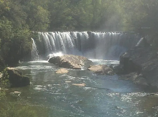 Avec Mezzanine Appartement *