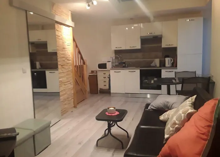 Appartement Avec Mezzanine *