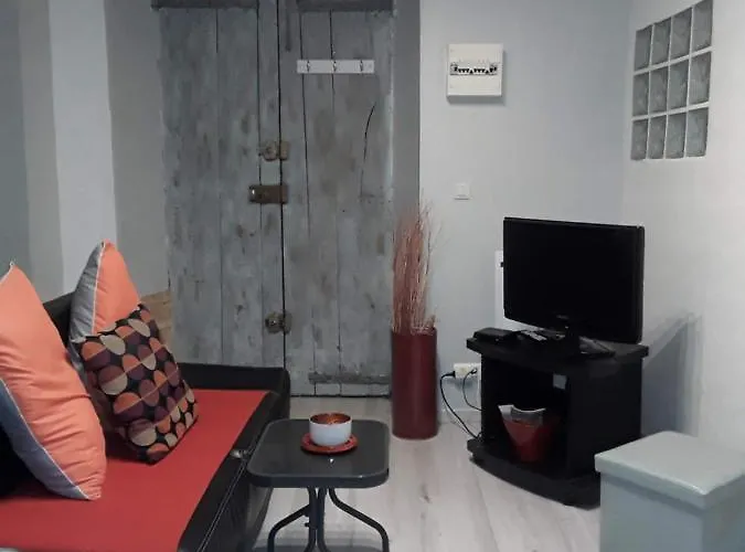 Appartement Avec Mezzanine *